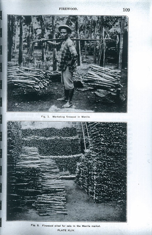 Philippine Mangrove Swamps   -   Reprint - aus dem Buch